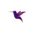 Abstract flying humming bird logo vector design Royalty Free Stock Photo