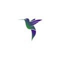 Abstract flying humming bird logo vector design Royalty Free Stock Photo