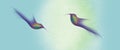 Abstract flying hummingbirds silhouette isolated on white background illustration Royalty Free Stock Photo