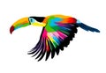 Abstract flying toucan, tropical bird from multicolored paints. Colored drawing