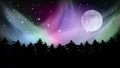 Abstract Forest Multicolored Northern Lights Aurora Borealis Sky