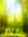 Abstract forest spring green background