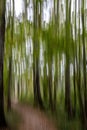 Abstract forest in summer, autumn time in motion blur Royalty Free Stock Photo