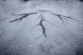 Abstract Formation Formed from Refreezing Water on a Pond Royalty Free Stock Photo