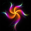 Abstract fractal art fantastic colorful flower on black background Royalty Free Stock Photo