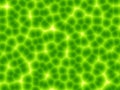 Green plant cells abstract background