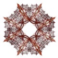 Abstract fractal with a burgundy pattern on a white background