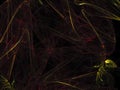 Abstract fractal dreamlike dynamic fantasy unique card rendering vibrant , design template