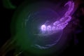 Fractal fantasy imagination pattern surreal dynamic chaos motion rendering design rendering, imagination, glow, shine Royalty Free Stock Photo