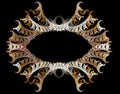 Abstract fractal frame with scalloped structure