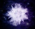 Abstract fractal glowing flower. Magic cosmic flower