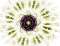 Abstract fractal patterns and shapes. Fractal texture for prints Royalty Free Stock Photo