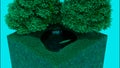 Abstract fragment of a city park on a small scale with a lush tree and a small pond. Design. Tiny water reservoir with a Royalty Free Stock Photo