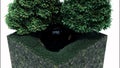 Abstract fragment of a city park on a small scale with a lush tree and a small pond. Design. Tiny water reservoir with a Royalty Free Stock Photo