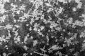 Abstract frost pattern on glass in black and white Royalty Free Stock Photo