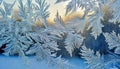 Abstract frosty ice pattern on a window a cold morning