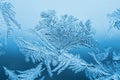 Abstract frosty pattern on glass, background texture