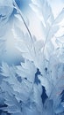 Abstract frosty pattern on glass, background texture with ice leaves. Frozen window, beautiful natural winter background Royalty Free Stock Photo