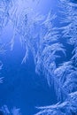 Abstract frozen background of ice ,