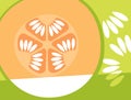 Abstract fruit design in flat cut out style. Cantaloupe melon cross section and seeds. Royalty Free Stock Photo