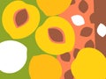 Abstract fruit design in flat cut out style. Peaches and peach pits.