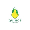 Abstract fruit quince logo design