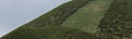 Abstract funny looking green field paddick with one cow at the side of the CabeÃÂ§o Gordo caldera on Faial Island Royalty Free Stock Photo