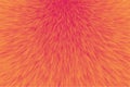 Abstract fur background, Abstract orange texture - Vector Royalty Free Stock Photo