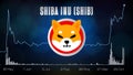 Futuristic technology background of Shiba Inu SHIB Price Chart coin digital cryptocurrency