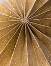 Abstract fuzzy golden glitter background