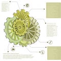 Abstract gears infographic design for your business promotional artwork