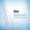 Abstract genetics science vector background with dna human chromosome molecule model