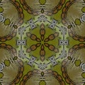 Regular centered hexagon ornament gold olive green with black outlines centered