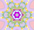 Seamless floral ornament purple yellow pink centered