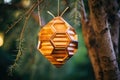 abstract geometric beehive hanging from a tree branch