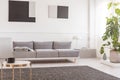 Abstract black and grey paintings on white wall of trendy living room interior