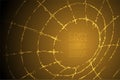 Abstract Geometric Circle dot pattern Tube Wireframe shape, Internet Technology concept design gold color illustration Royalty Free Stock Photo