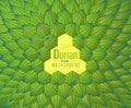 Abstract geometric durian pattern BG