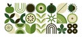 Abstract geometric food pattern. Minimal natural fruit plant simple shapes floral poster layout, eco agriculture concept