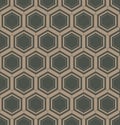 Abstract geometric linear hexagons seamless pattern