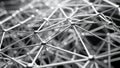 Abstract geometric network of interconnected nodes and lines in black and white Royalty Free Stock Photo