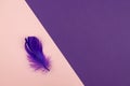 Abstract geometric paper background of pastel pink and purple colors with violet feather. Copy space for design Royalty Free Stock Photo