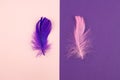 Abstract geometric paper background of pastel pink and purple colors with violet feather. Copy space for design Royalty Free Stock Photo