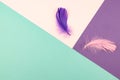 Abstract geometric paper background of pastel pink and purple colors with violet feather. Copy space for design Royalty Free Stock Photo