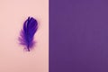 Abstract geometric paper background of pastel pink and purple colors with violet feather. Copy space for design Royalty Free Stock Photo