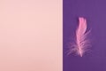 Abstract geometric paper background of pastel pink and purple colors with violet feather. Copy space for design Royalty Free Stock Photo