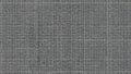Abstract geometric pattern background detailed texture subtle gray scale noise visuals Royalty Free Stock Photo