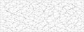 Abstract geometric pattern with chaotic triangular mesh for modern design and decoration concepts