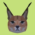 Abstract geometric polygonal lynx