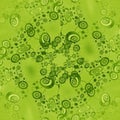 Regular intricate spirals pattern lime green and dark green centered Royalty Free Stock Photo